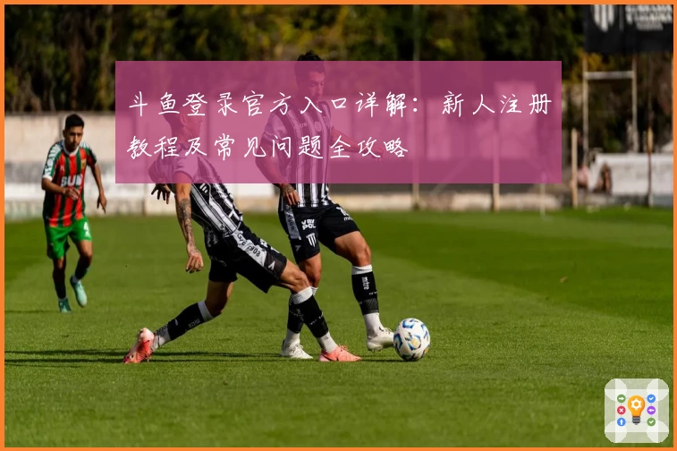 斗鱼登录官方入口详解:新人注册教程及常见问题全攻略