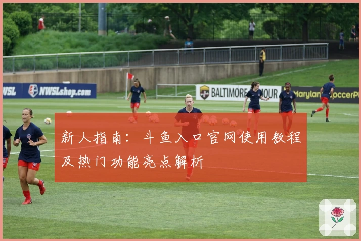 新人指南:斗鱼入口官网使用教程及热门功能亮点解析
