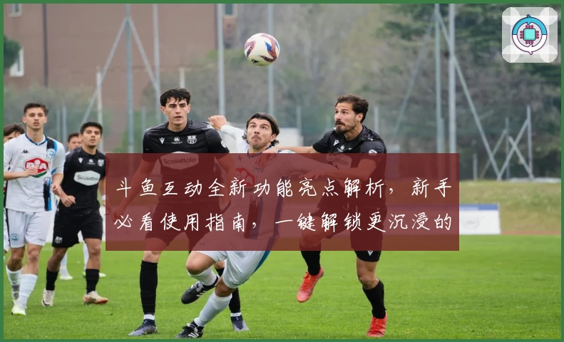 斗鱼互动全新功能亮点解析，新手必看使用指南，一键解锁更沉浸的社交体验