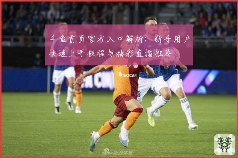 斗鱼首页官方入口解析：新手用户快速上手教程与精彩直播推荐