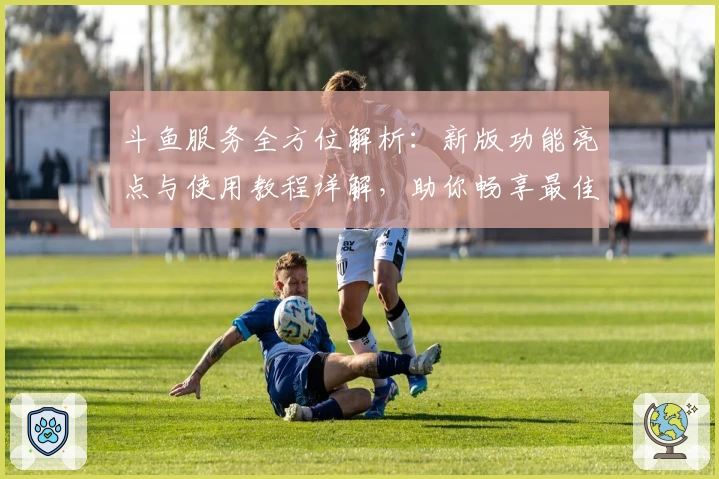 斗鱼服务全方位解析:新版功能亮点与使用教程详解,助你畅享最佳直播体验