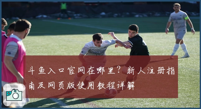 斗鱼入口官网在哪里?新人注册指南及网页版使用教程详解