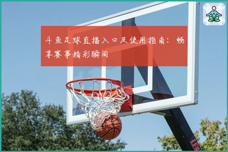 斗鱼足球直播入口及使用指南:畅享赛事精彩瞬间