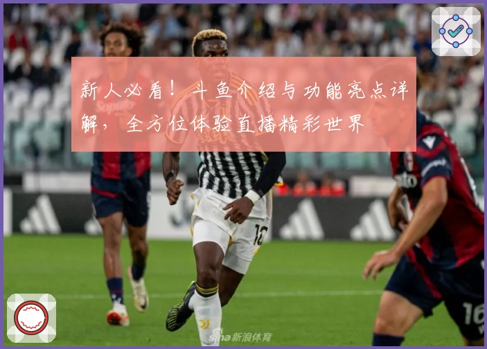 新人必看！斗鱼介绍与功能亮点详解，全方位体验直播精彩世界