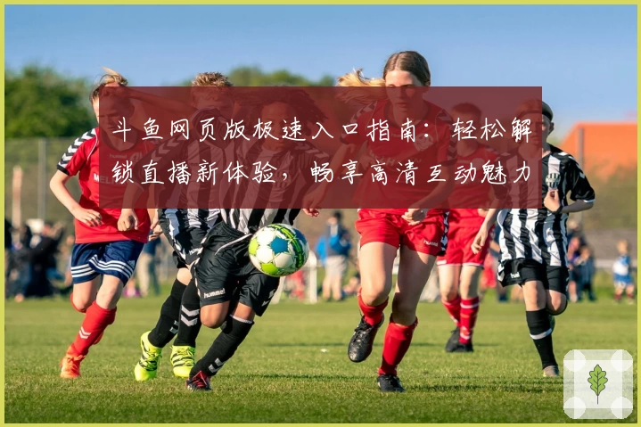 斗鱼网页版极速入口指南：轻松解锁直播新体验，畅享高清互动魅力