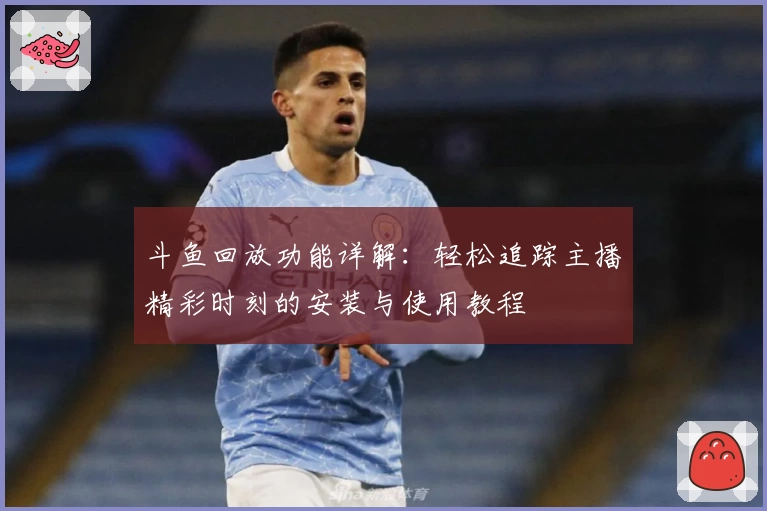 斗鱼回放功能详解：轻松追踪主播精彩时刻的安装与使用教程
